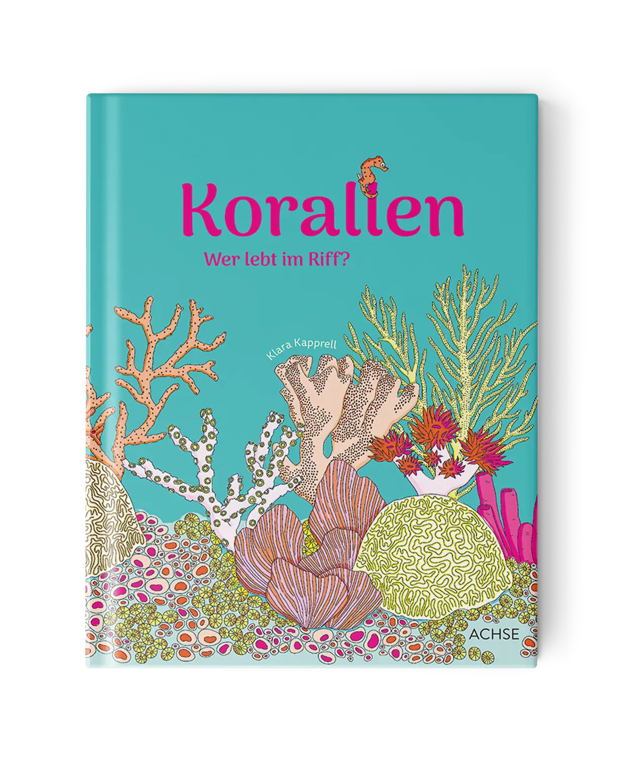 Korallen Korallen